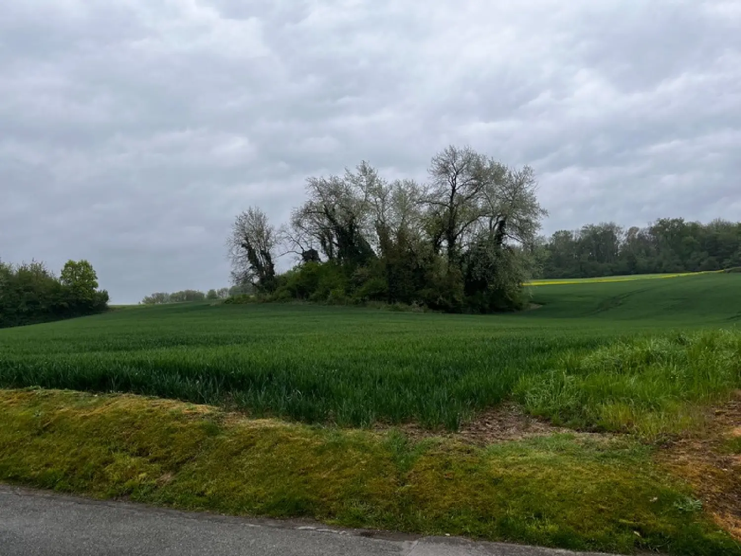 en venta terreno Béthancourt-en-Valois Oise 2