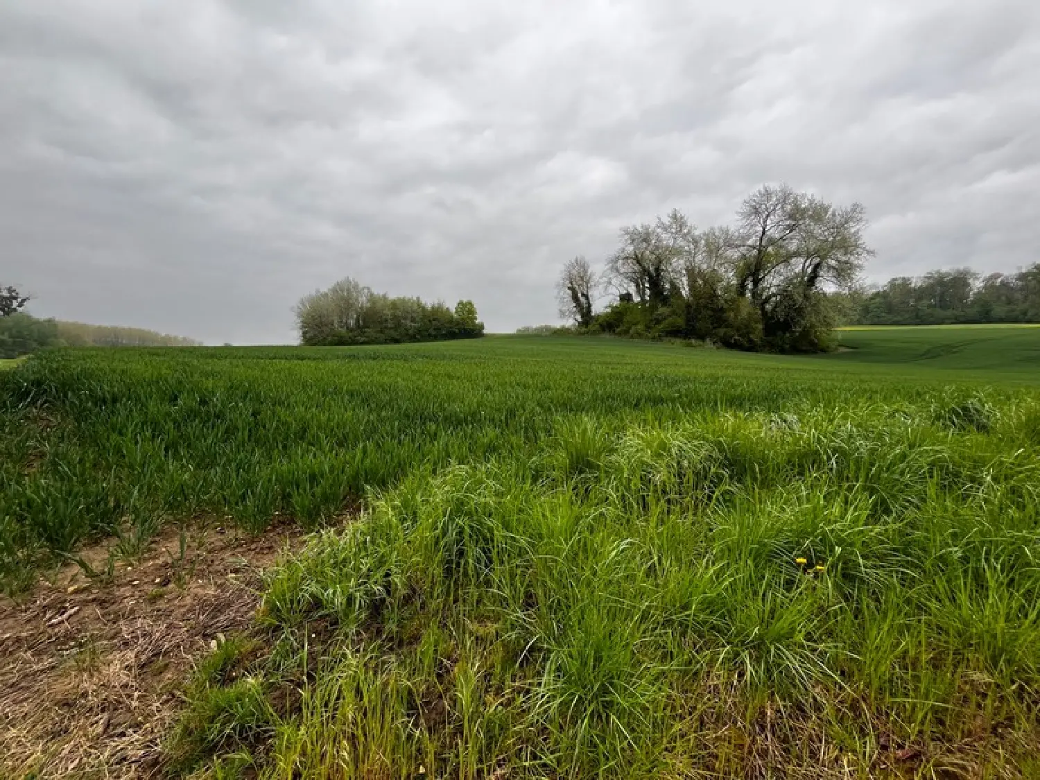  en venta terreno Béthancourt-en-Valois Oise 4