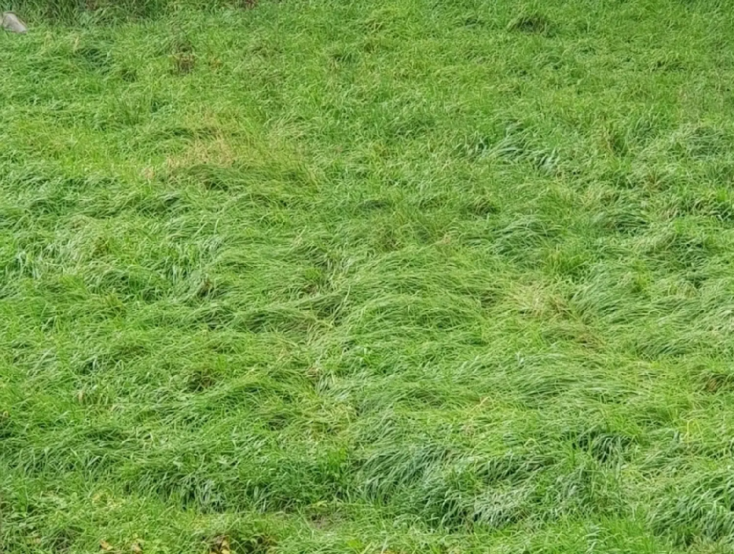  kaufen Grundstück Bulgnéville Vogesen 2