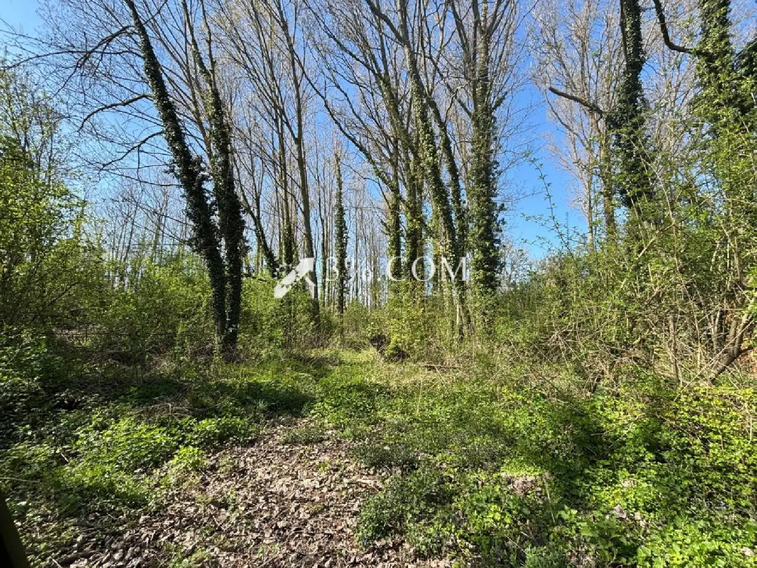  en venta terreno Cambrai Nord 2