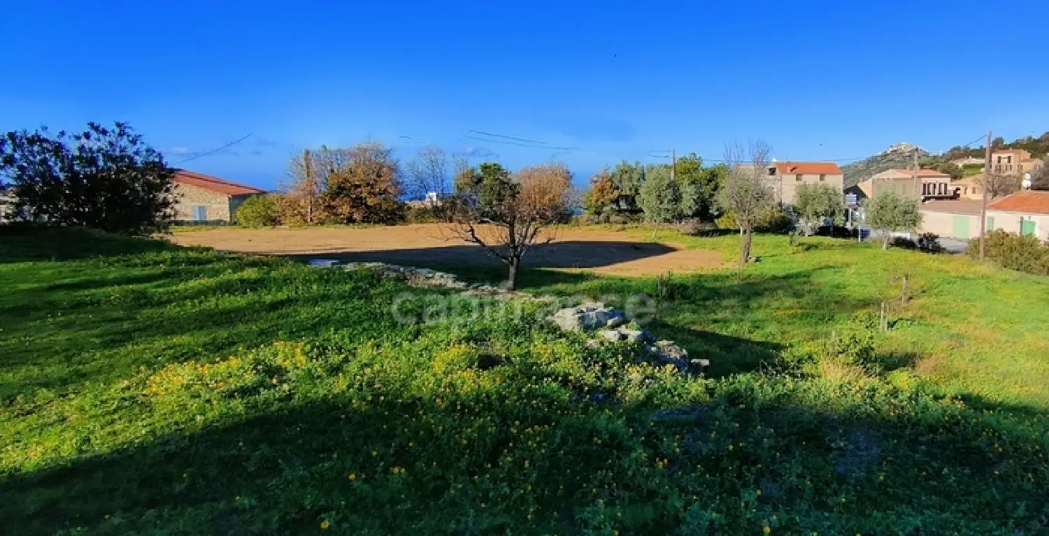  en venta terreno Cateri Haute-Corse 4