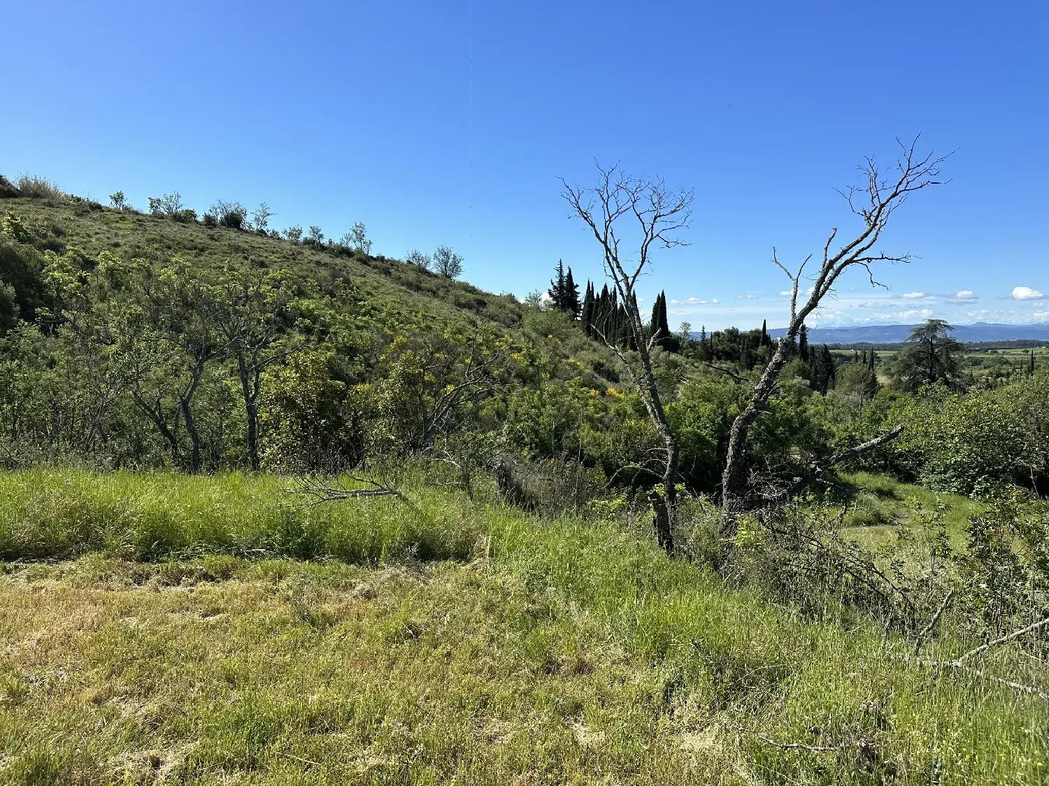  en venta terreno Caunes-Minervois Aude 7
