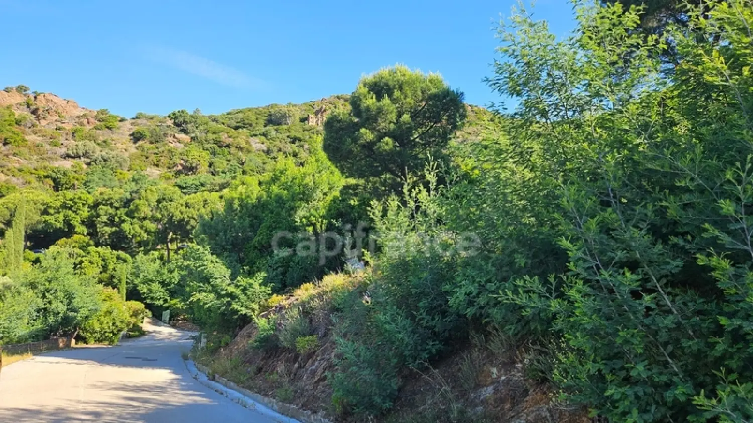 à vendre terrain Cavalière Var 7