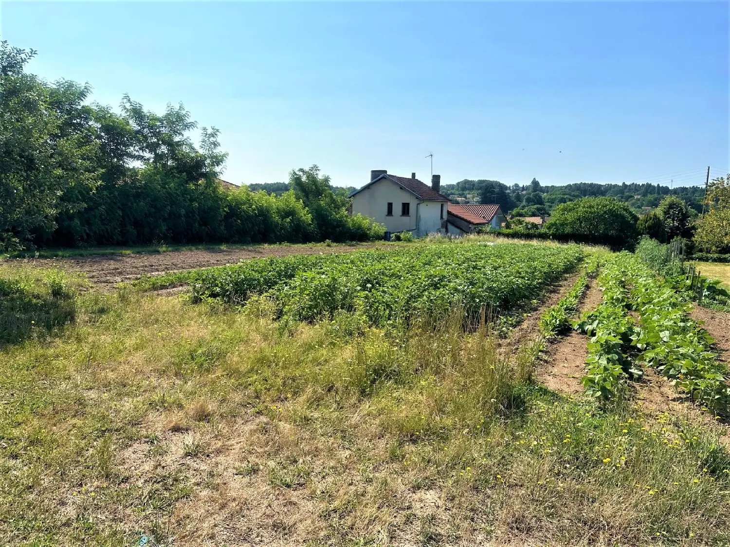  te koop terrein Chabanais Charente 3