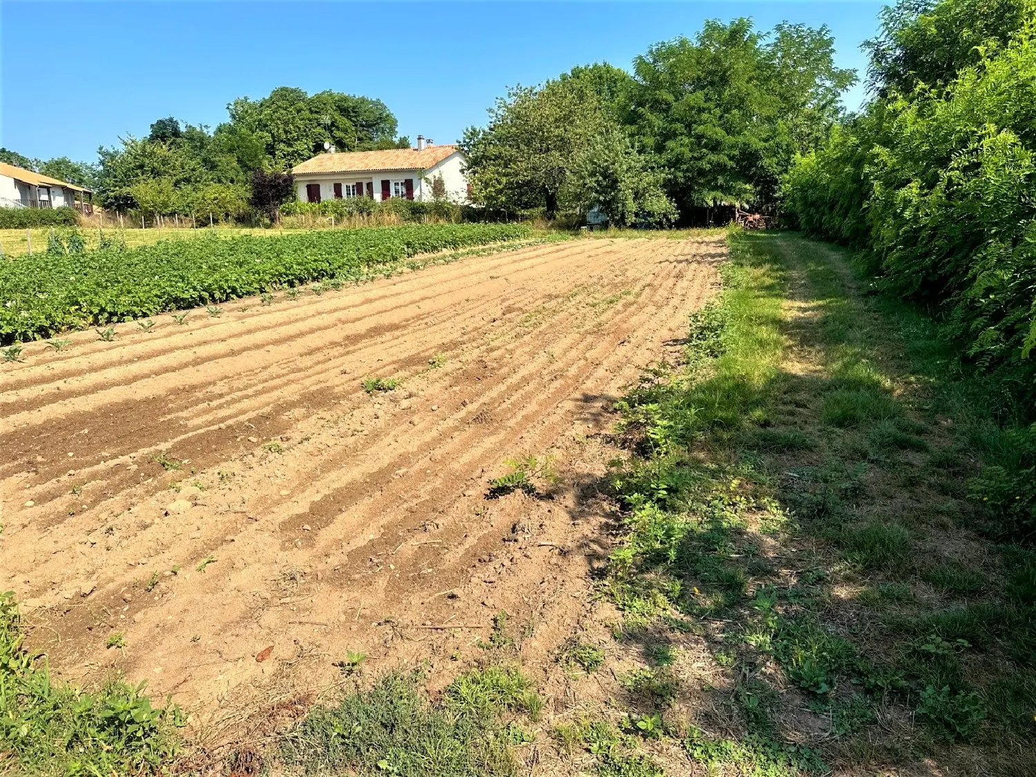  te koop terrein Chabanais Charente 5