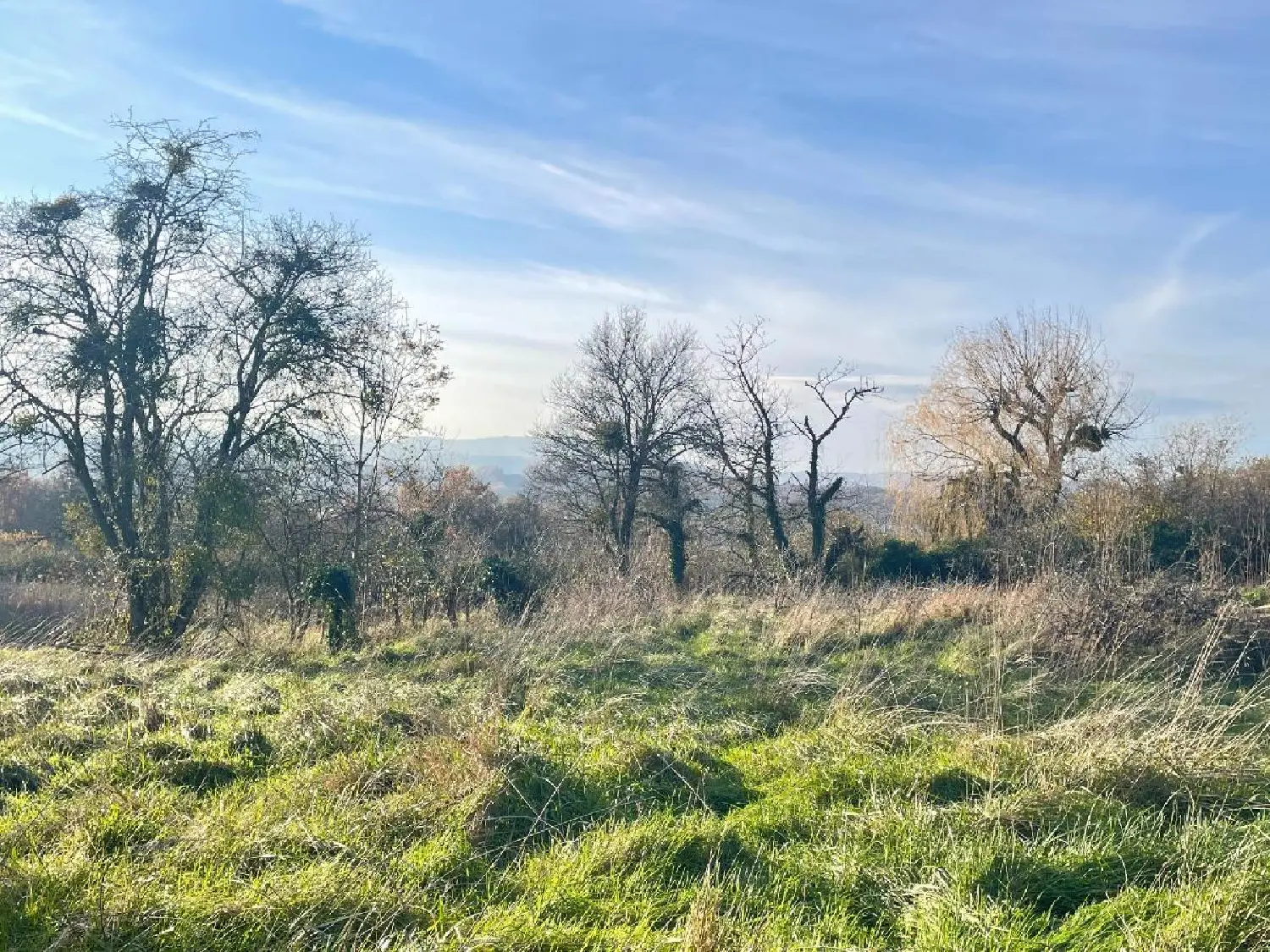  kaufen Grundstück Charnay-lès-Mâcon Saône-et-Loire 1