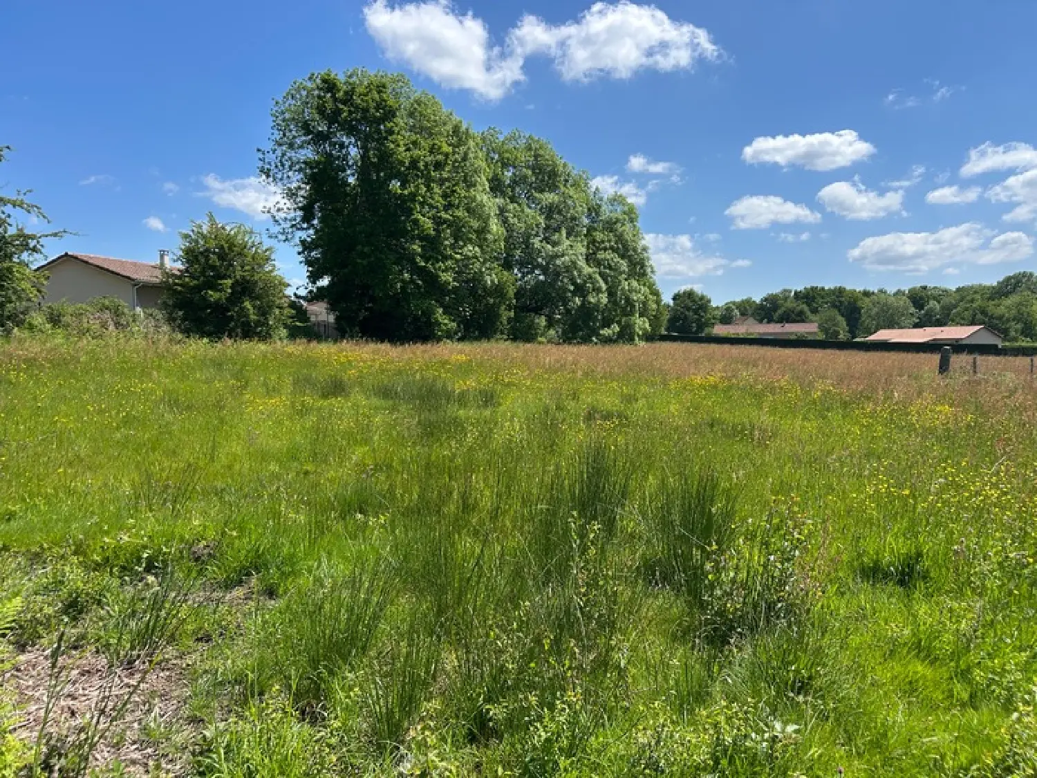 kaufen Grundstück Châteauponsac Haute-Vienne 4