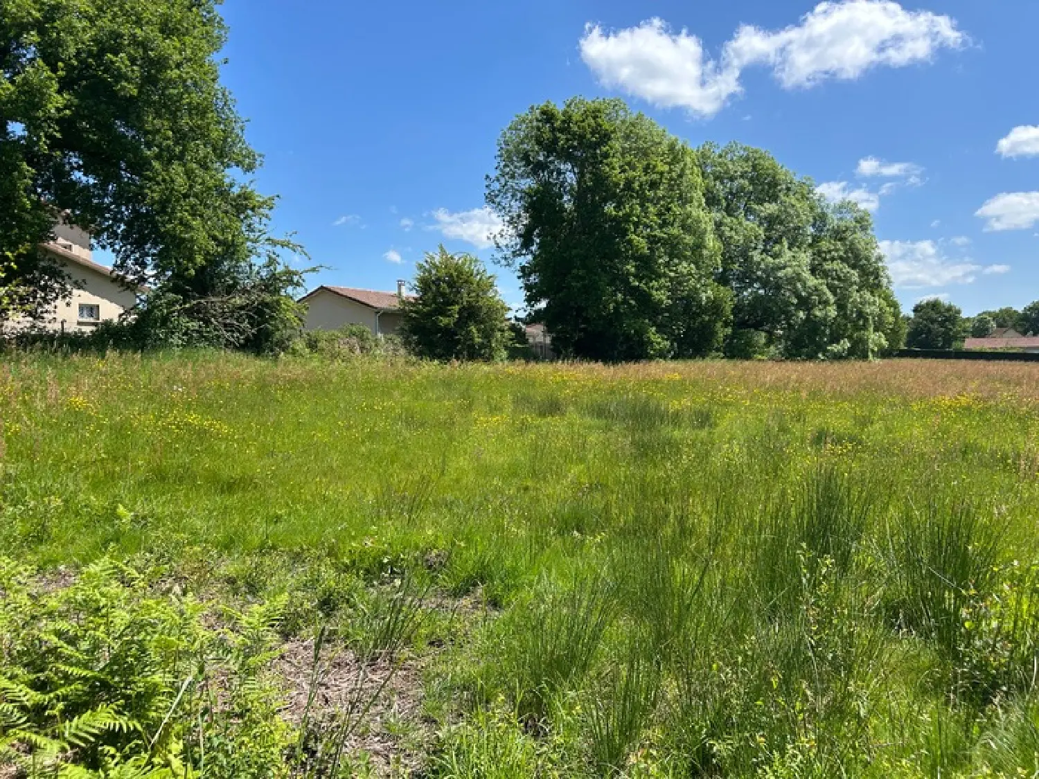  kaufen Grundstück Châteauponsac Haute-Vienne 5