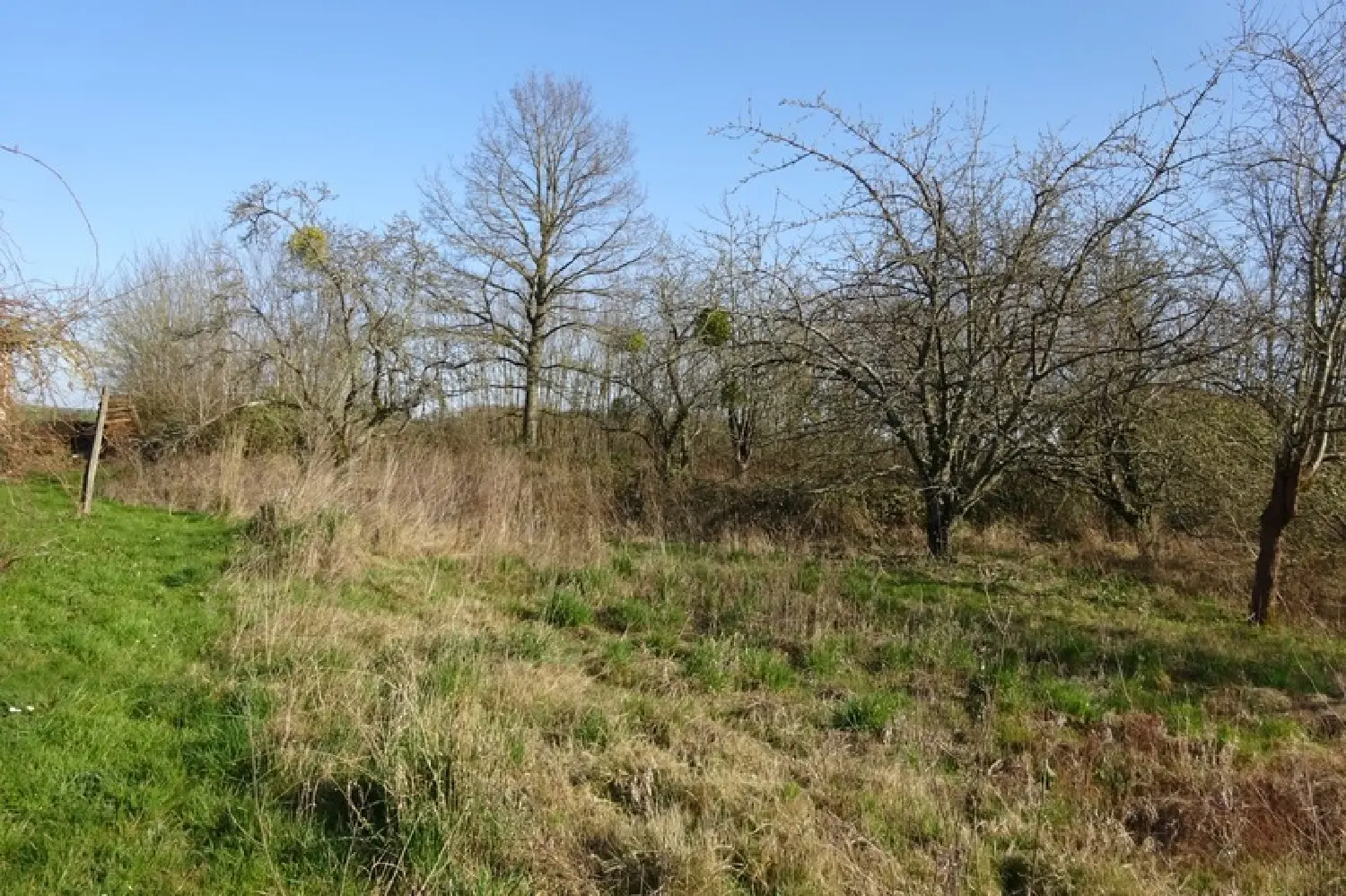  kaufen Grundstück Chuelles Loiret 1