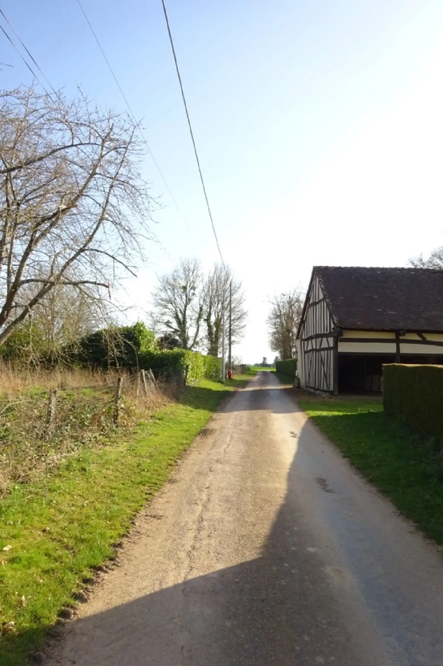  kaufen Grundstück Chuelles Loiret 4