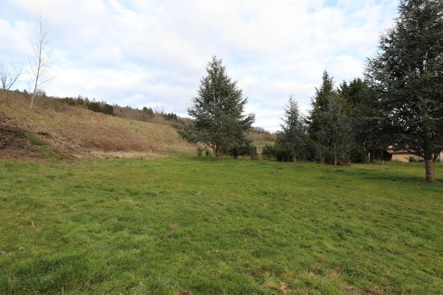  en venta terreno Copponex Haute-Savoie 2