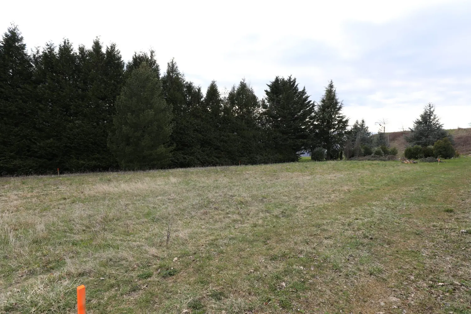 en venta terreno Copponex Haute-Savoie 4