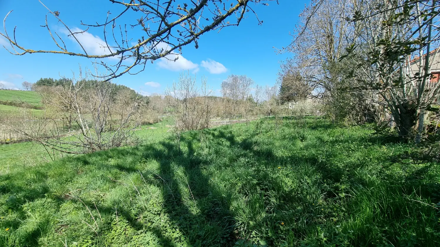  à vendre terrain Coucouron Ardèche 5