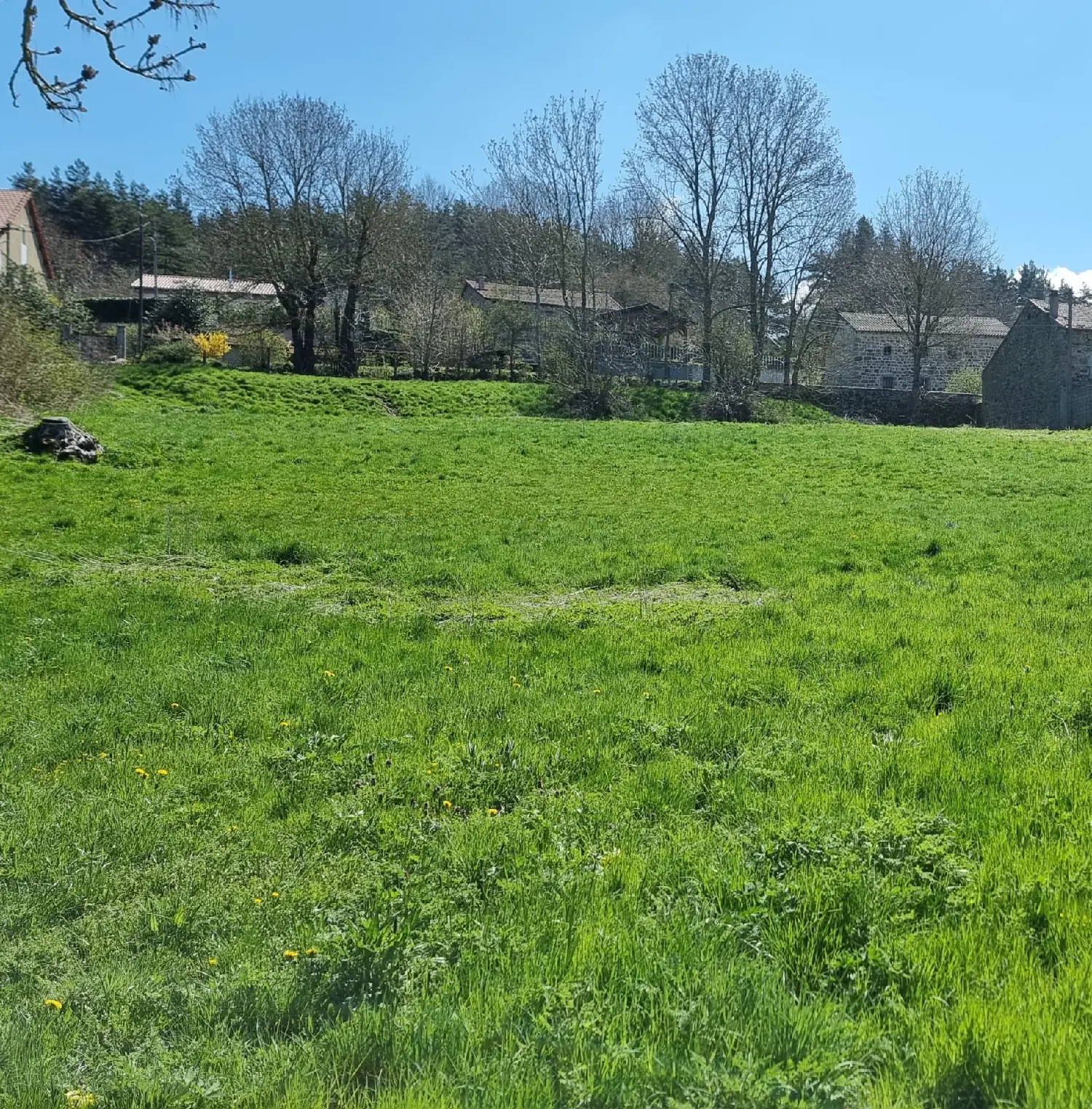  à vendre terrain Coucouron Ardèche 6