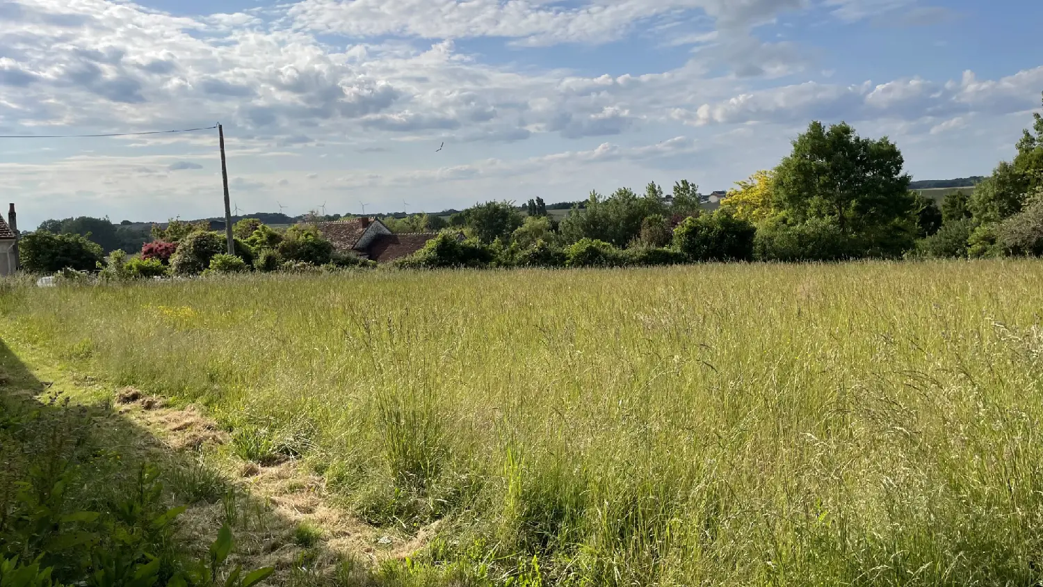  for sale terrain Coussay-les-Bois Vienne 1