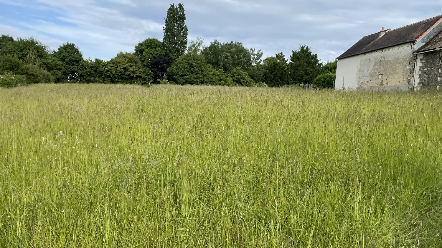  for sale terrain Coussay-les-Bois Vienne 2