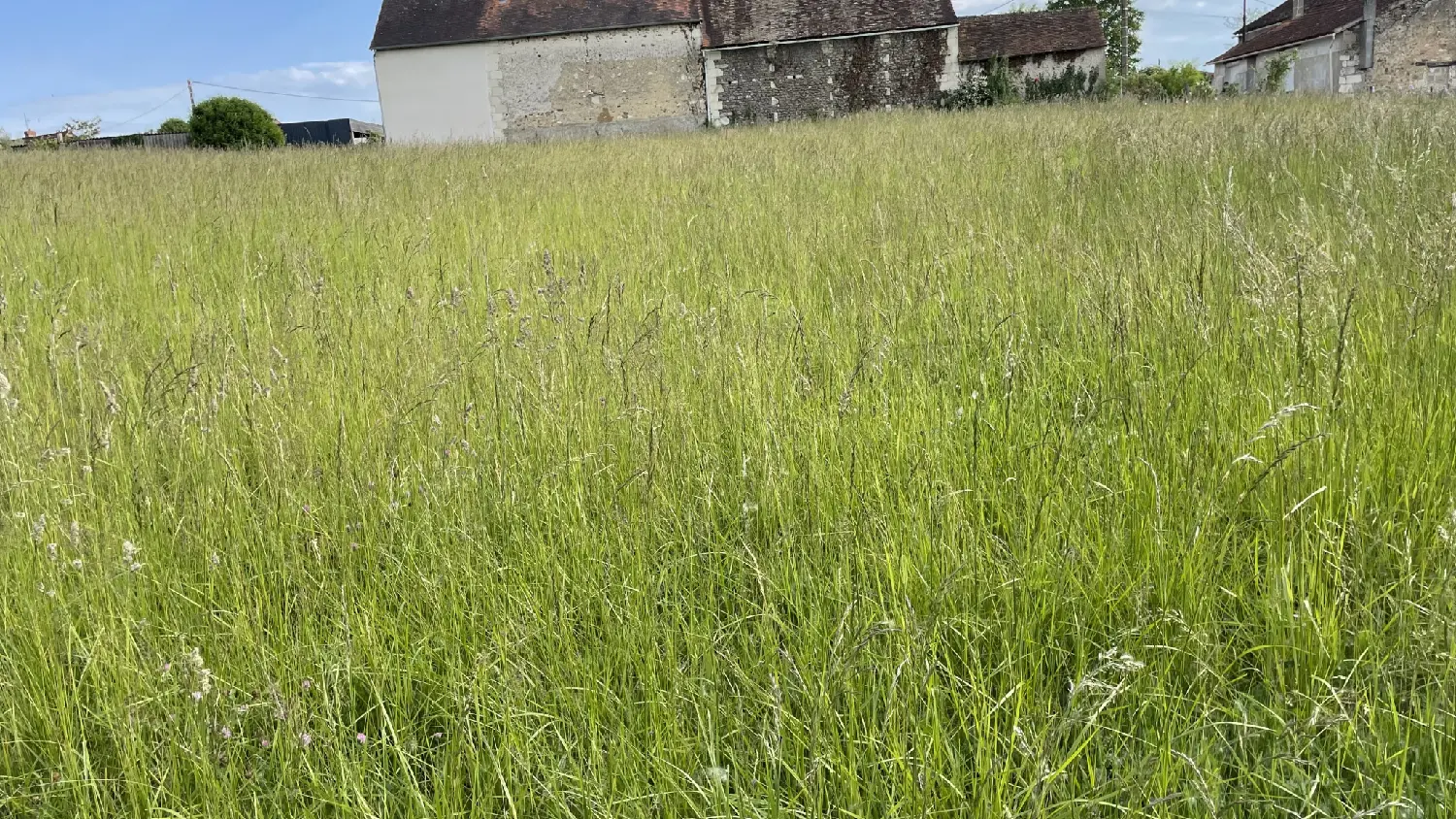  for sale terrain Coussay-les-Bois Vienne 3