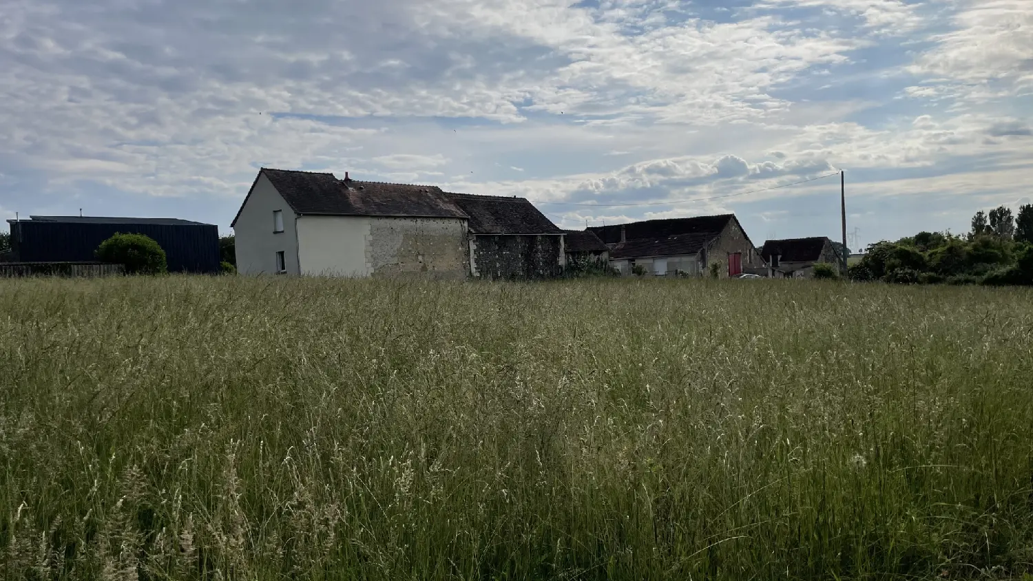  for sale terrain Coussay-les-Bois Vienne 4