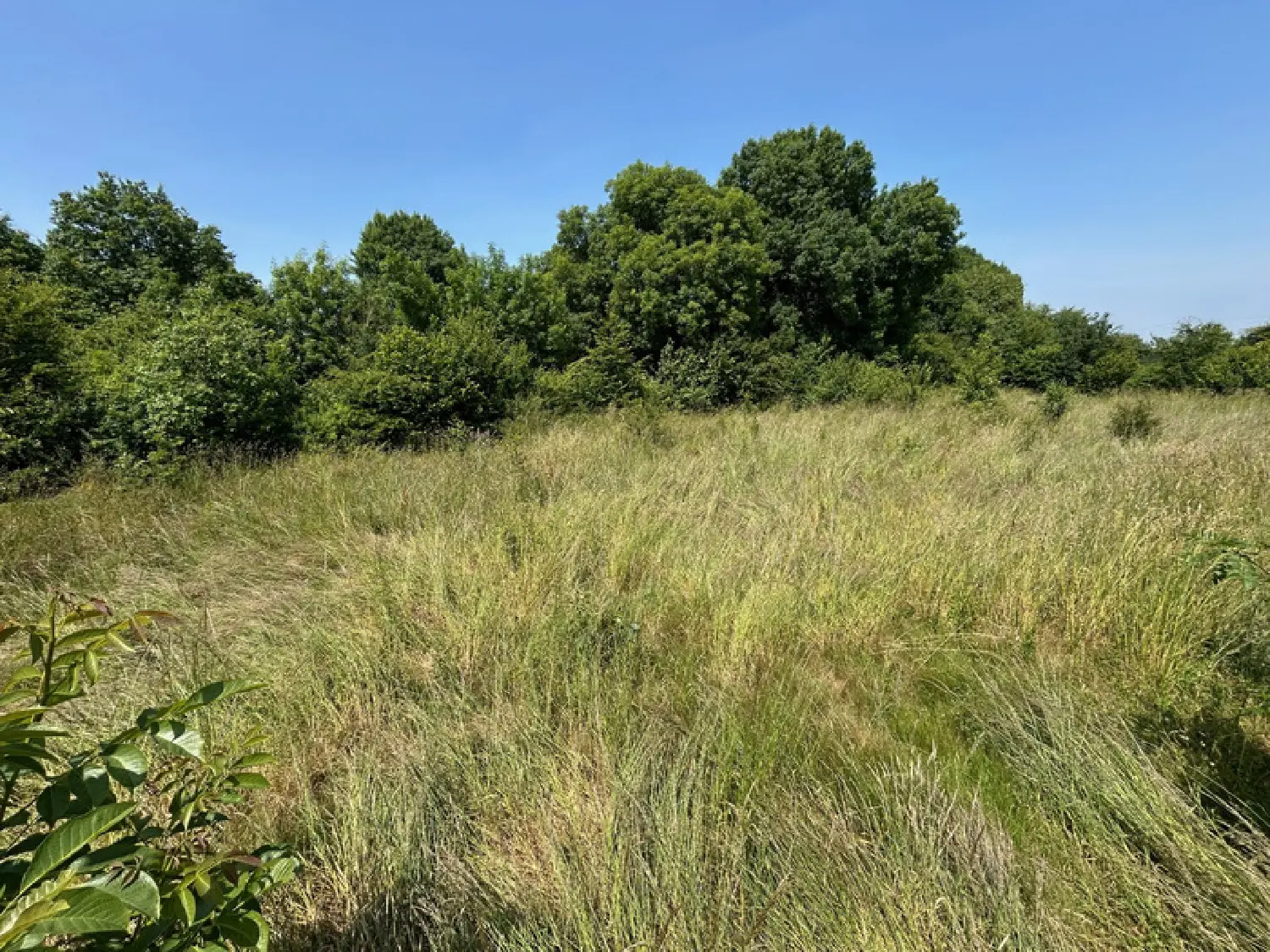  en venta terreno Coutières Deux-Sèvres 4