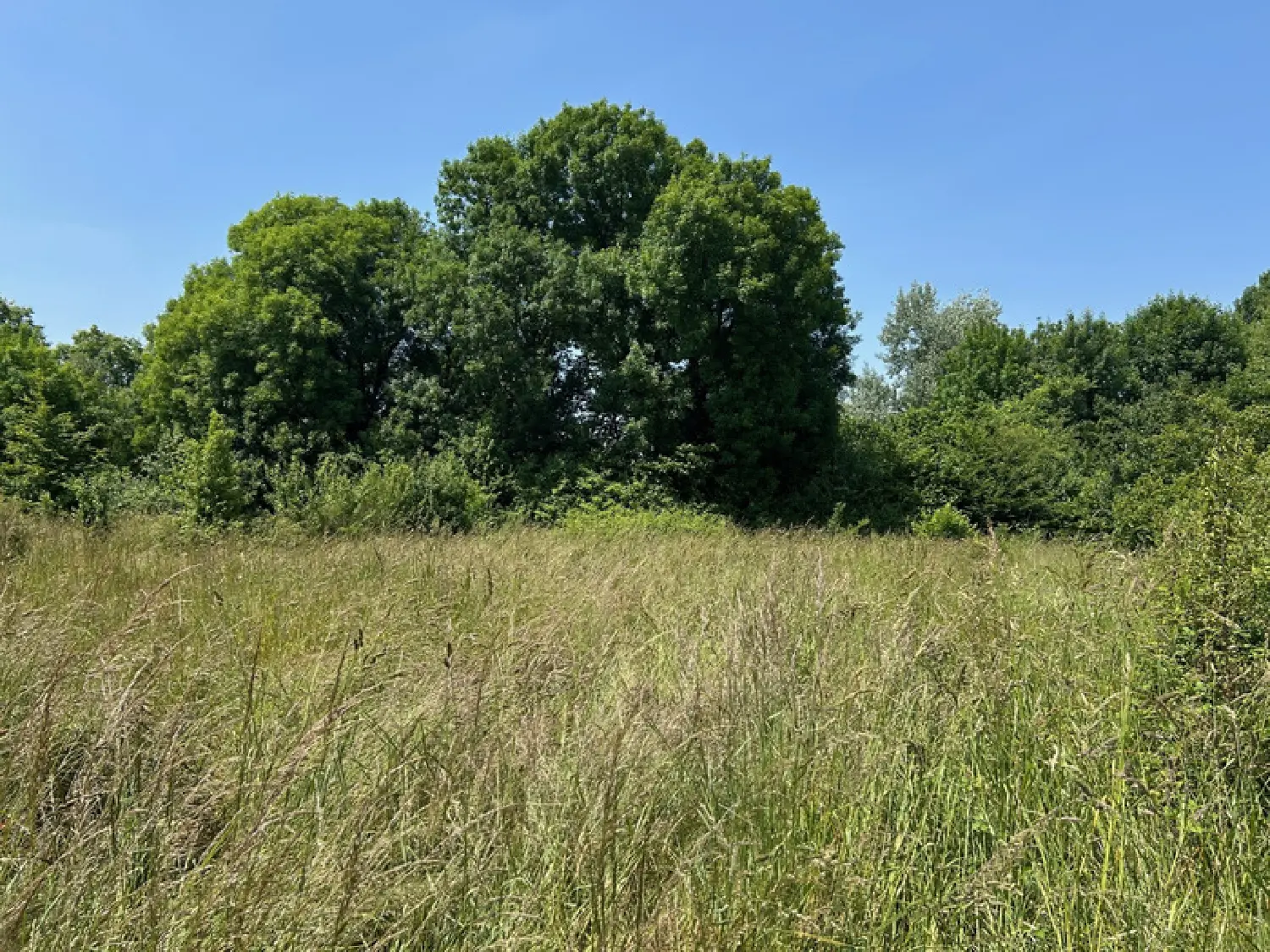  en venta terreno Coutières Deux-Sèvres 4