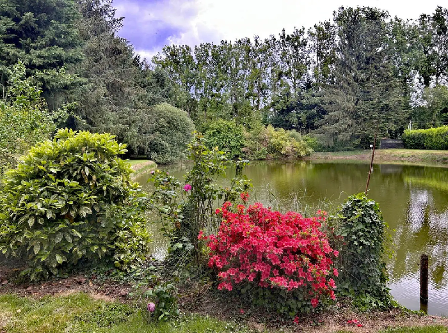  kaufen Grundstück Cuillé Mayenne 1