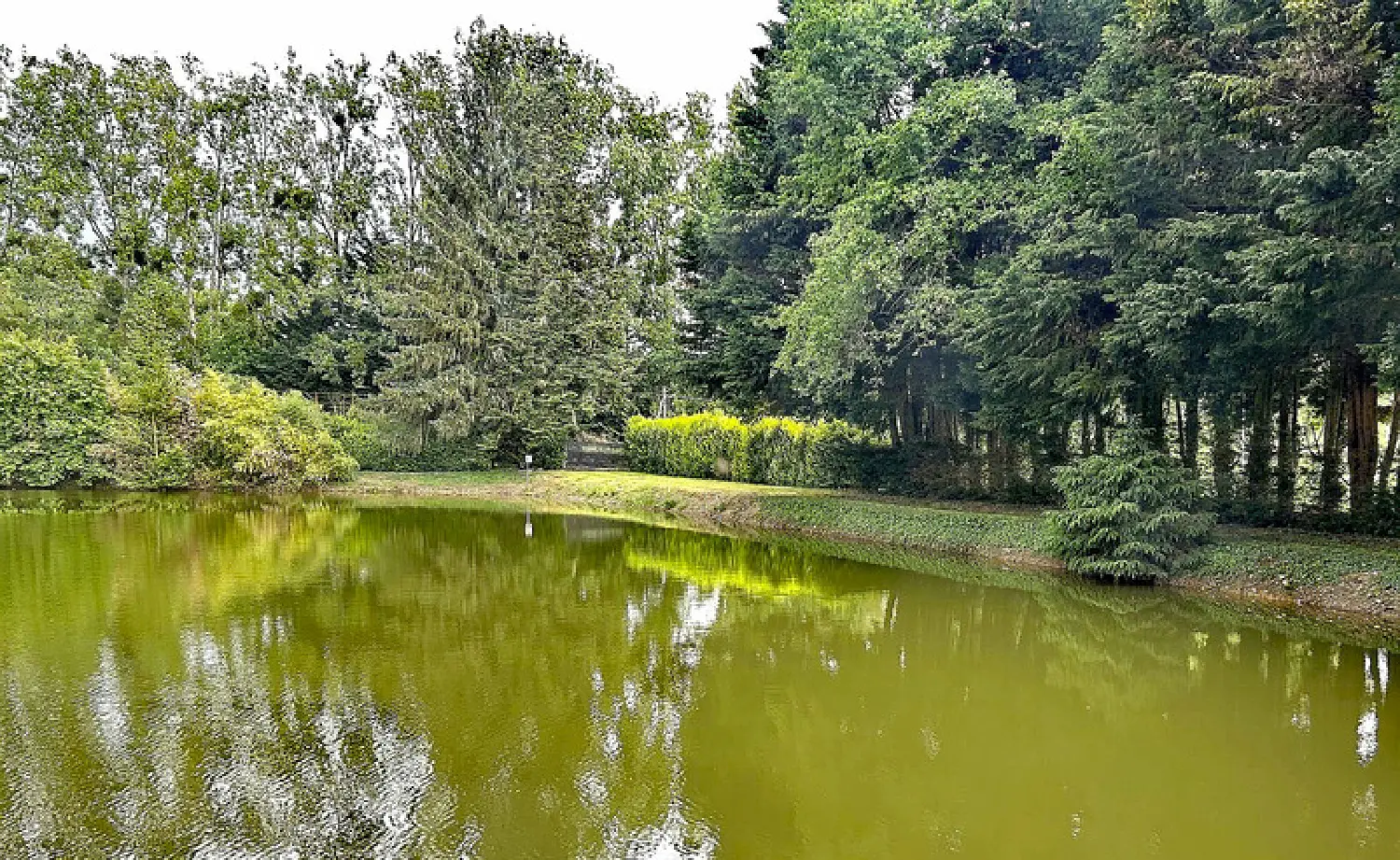  kaufen Grundstück Cuillé Mayenne 4