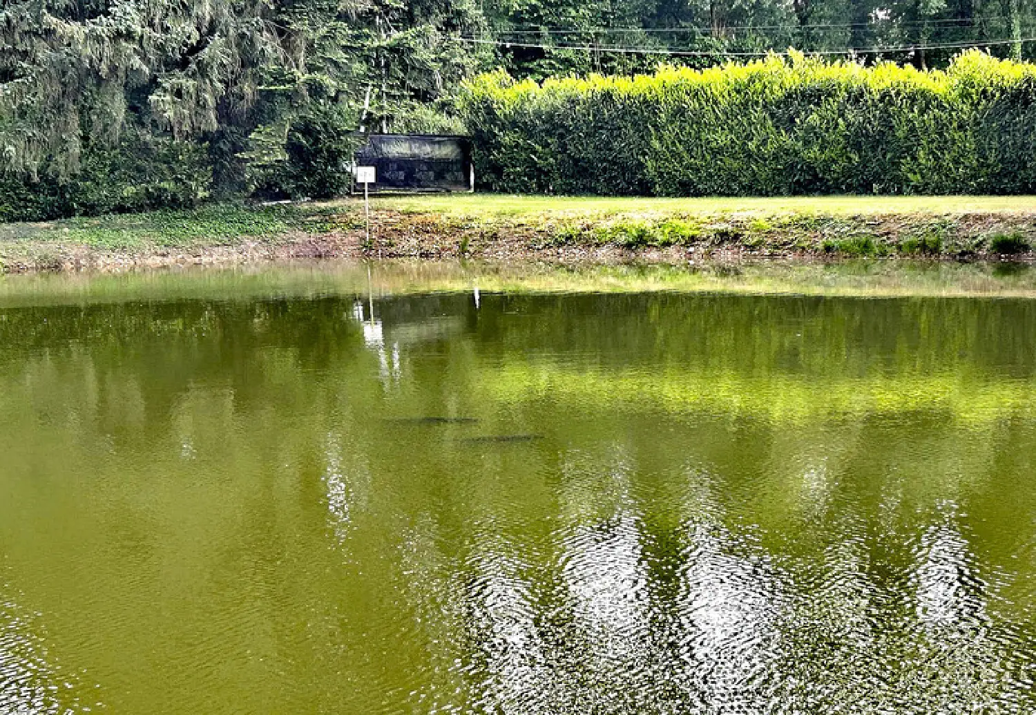  kaufen Grundstück Cuillé Mayenne 6