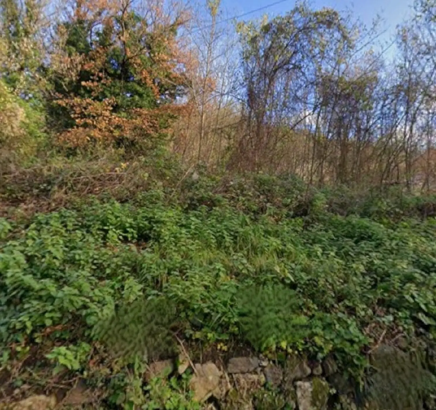  à vendre terrain Dio-et-Valquières Hérault 2