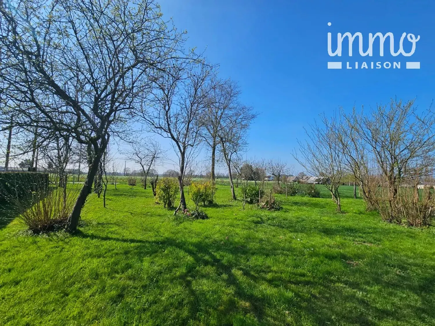  à vendre terrain Domagné Ille-et-Vilaine 6