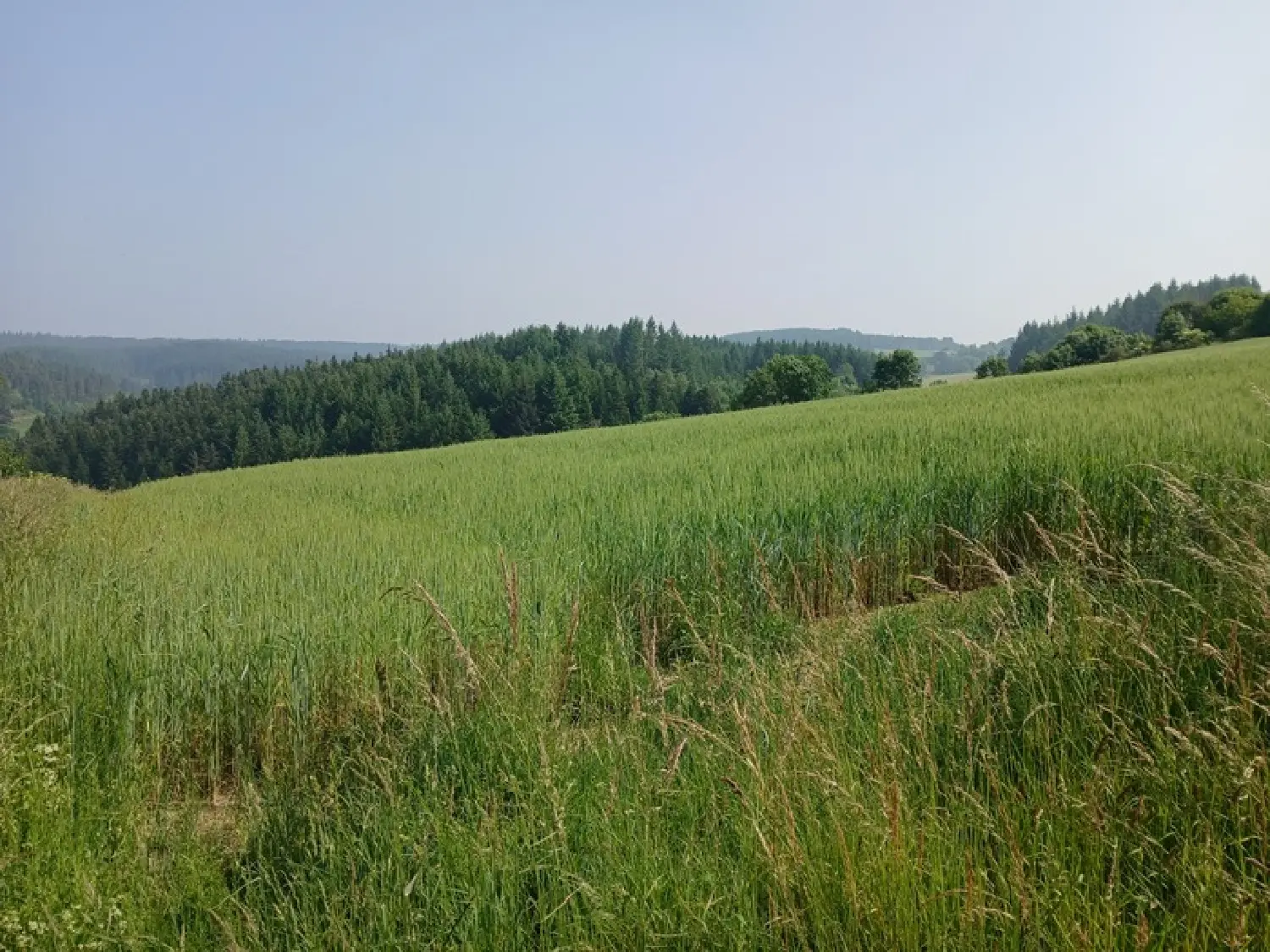 en venta terreno Dunières Haute-Loire 3