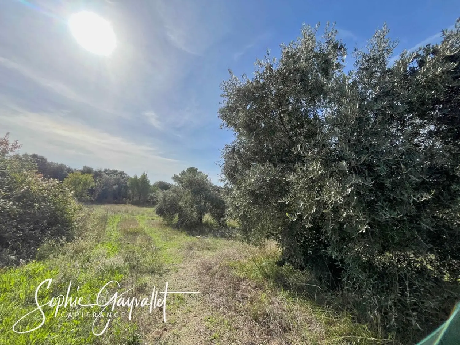  te koop terrein Éguilles Bouches-du-Rhône 4
