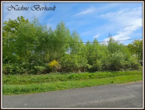 Ervauville Loiret terrein foto 7091837