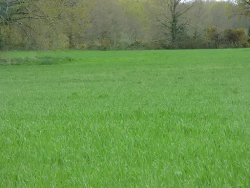Fégréac Loire-Atlantique terreno foto 7097251