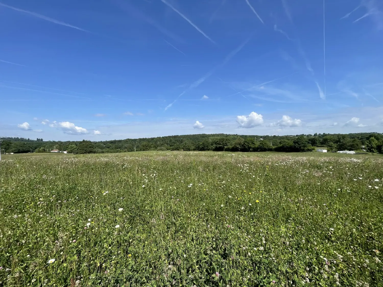  à vendre terrain Feytiat Haute-Vienne 1