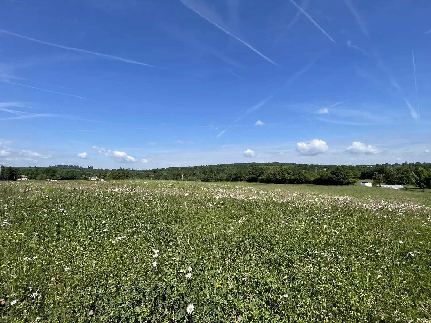  à vendre terrain Feytiat Haute-Vienne 2