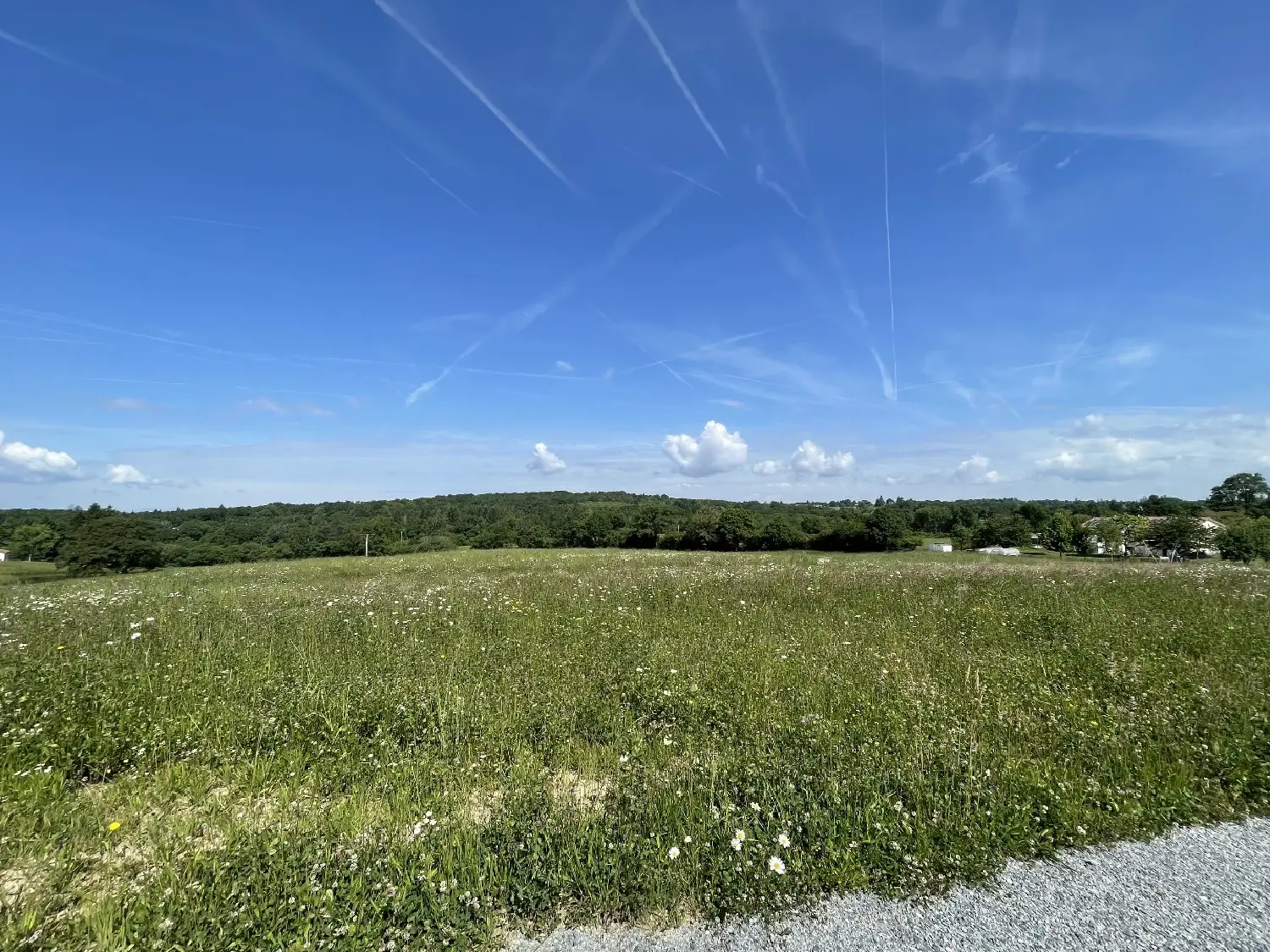  à vendre terrain Feytiat Haute-Vienne 4
