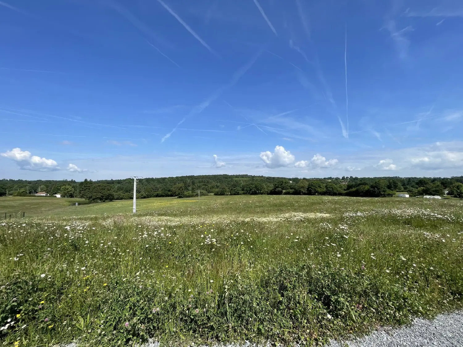  à vendre terrain Feytiat Haute-Vienne 5