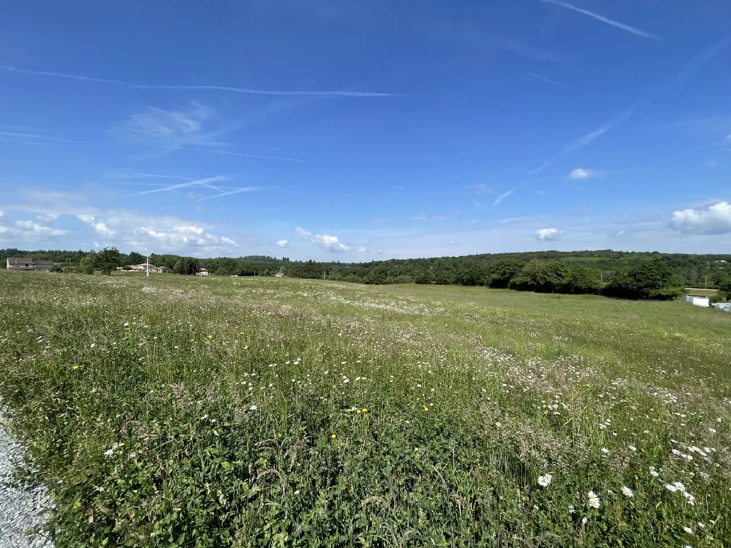  à vendre terrain Feytiat Haute-Vienne 6