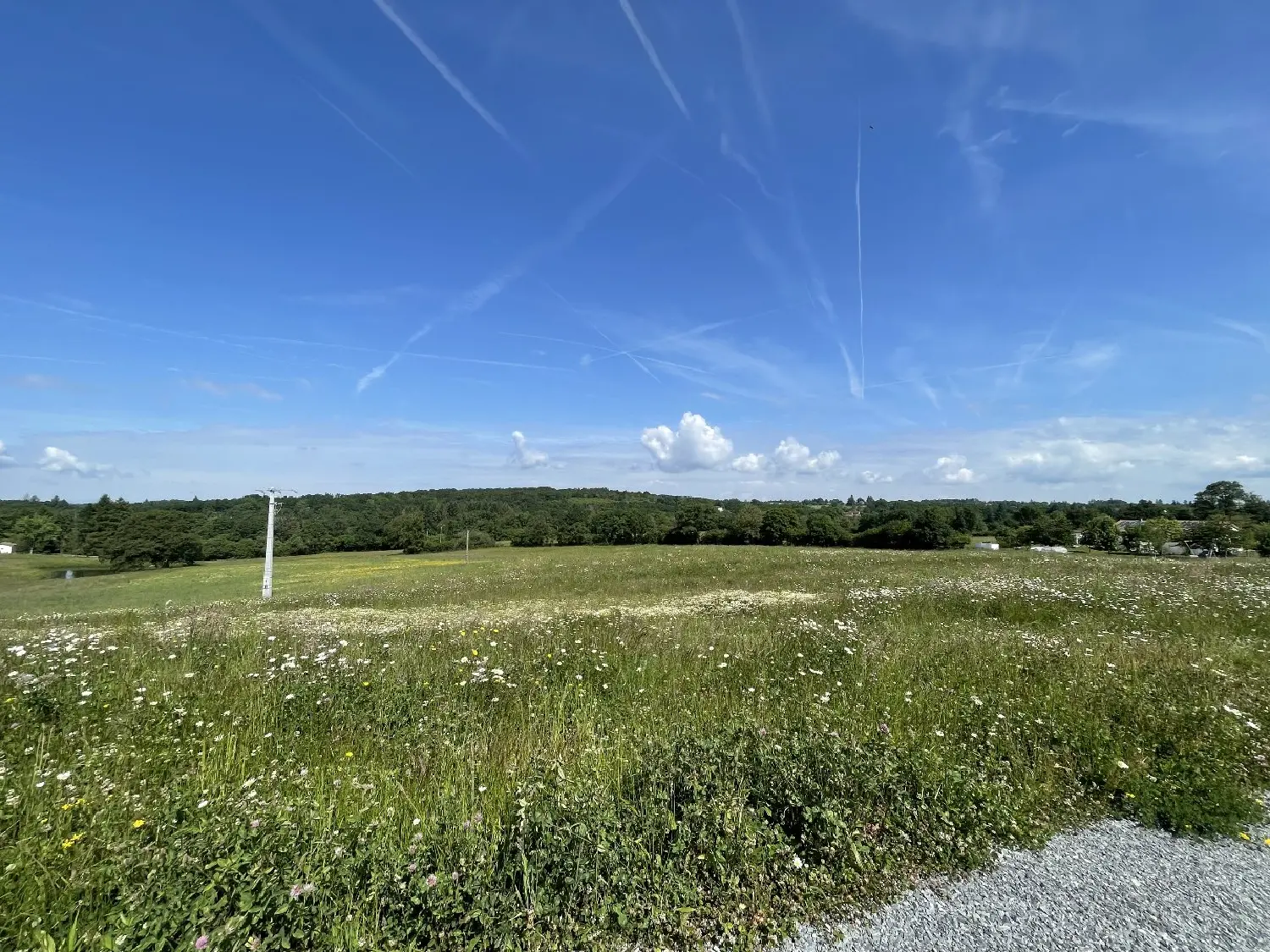  à vendre terrain Feytiat Haute-Vienne 7