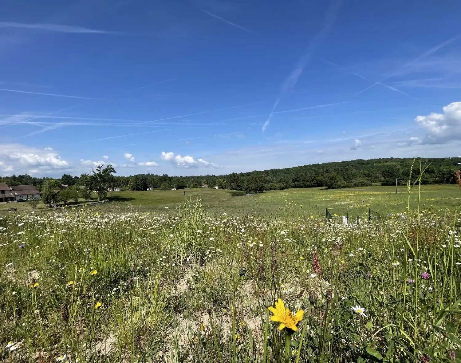  en venta terreno Feytiat Haute-Vienne 2