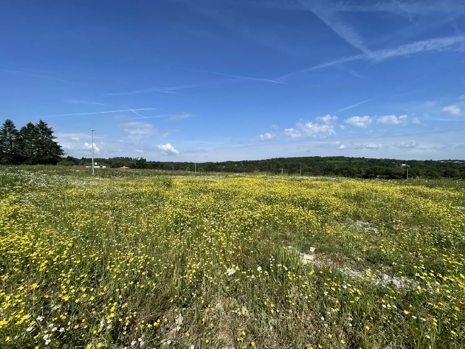  en venta terreno Feytiat Haute-Vienne 1