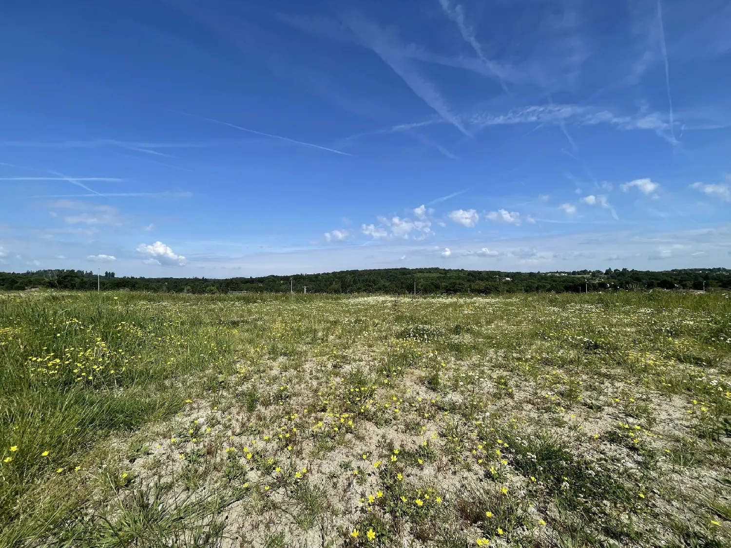  en venta terreno Feytiat Haute-Vienne 2