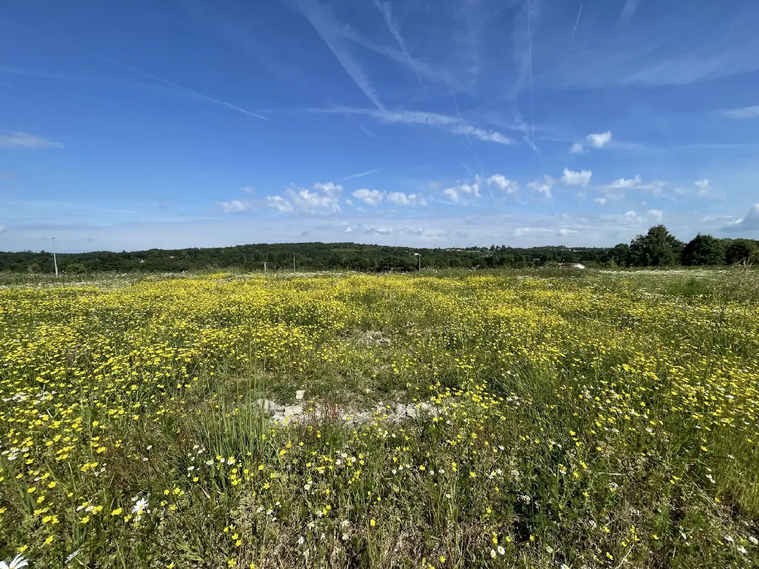  en venta terreno Feytiat Haute-Vienne 3