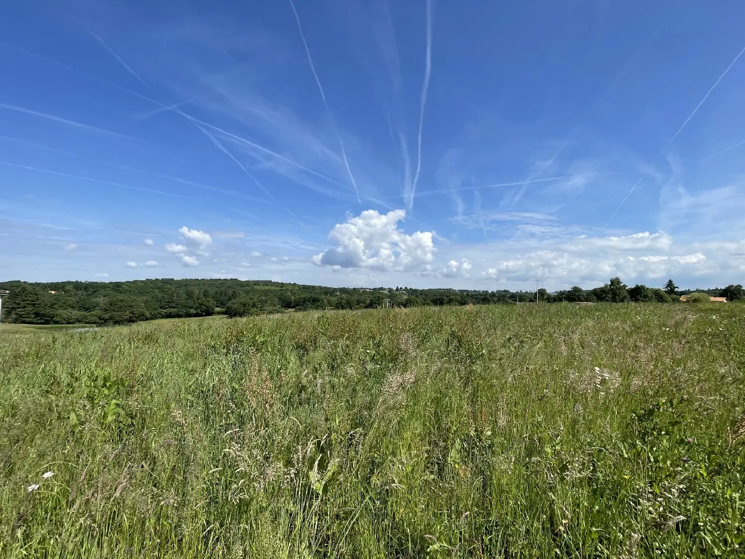  en venta terreno Feytiat Haute-Vienne 4