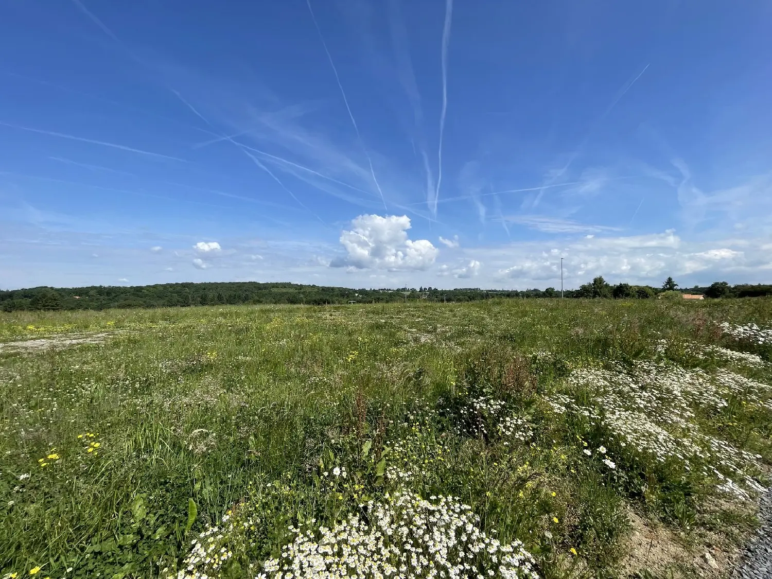  en venta terreno Feytiat Haute-Vienne 6