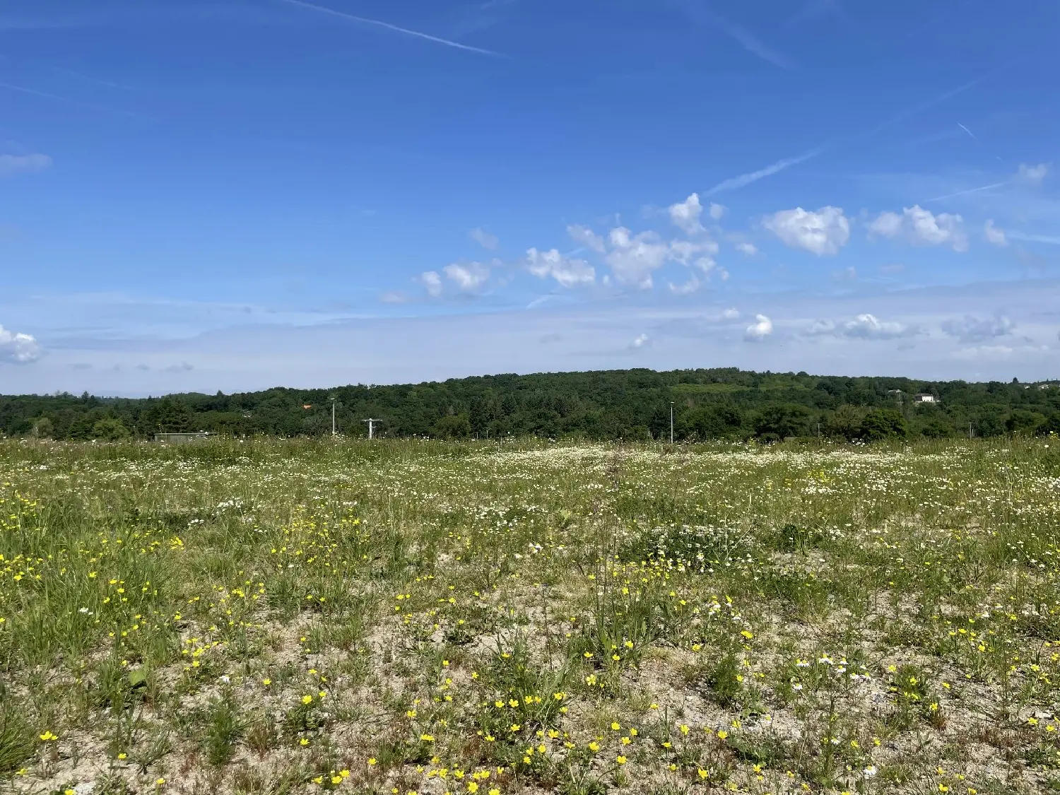  en venta terreno Feytiat Haute-Vienne 8