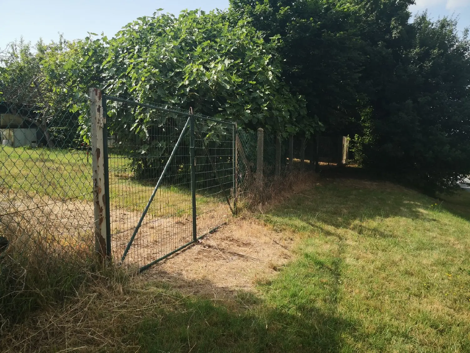  te koop terrein Fontenay-sur-Loing Loiret 2