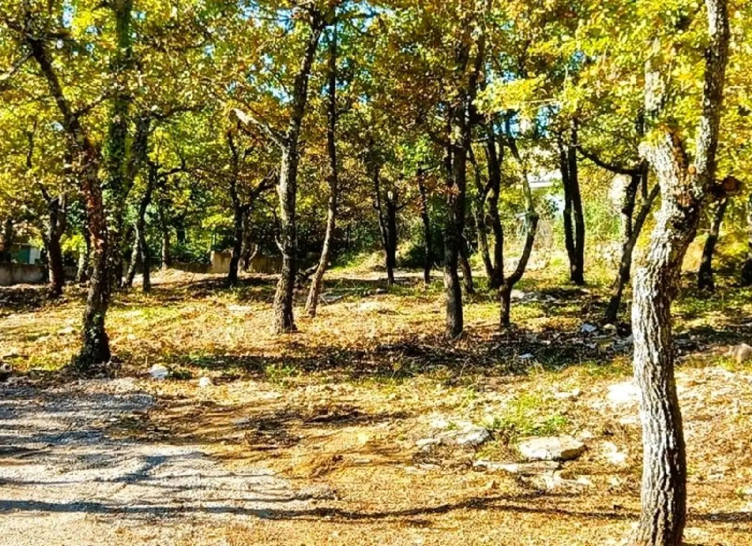  à vendre terrain Forcalquier Alpes-de-Haute-Provence 4