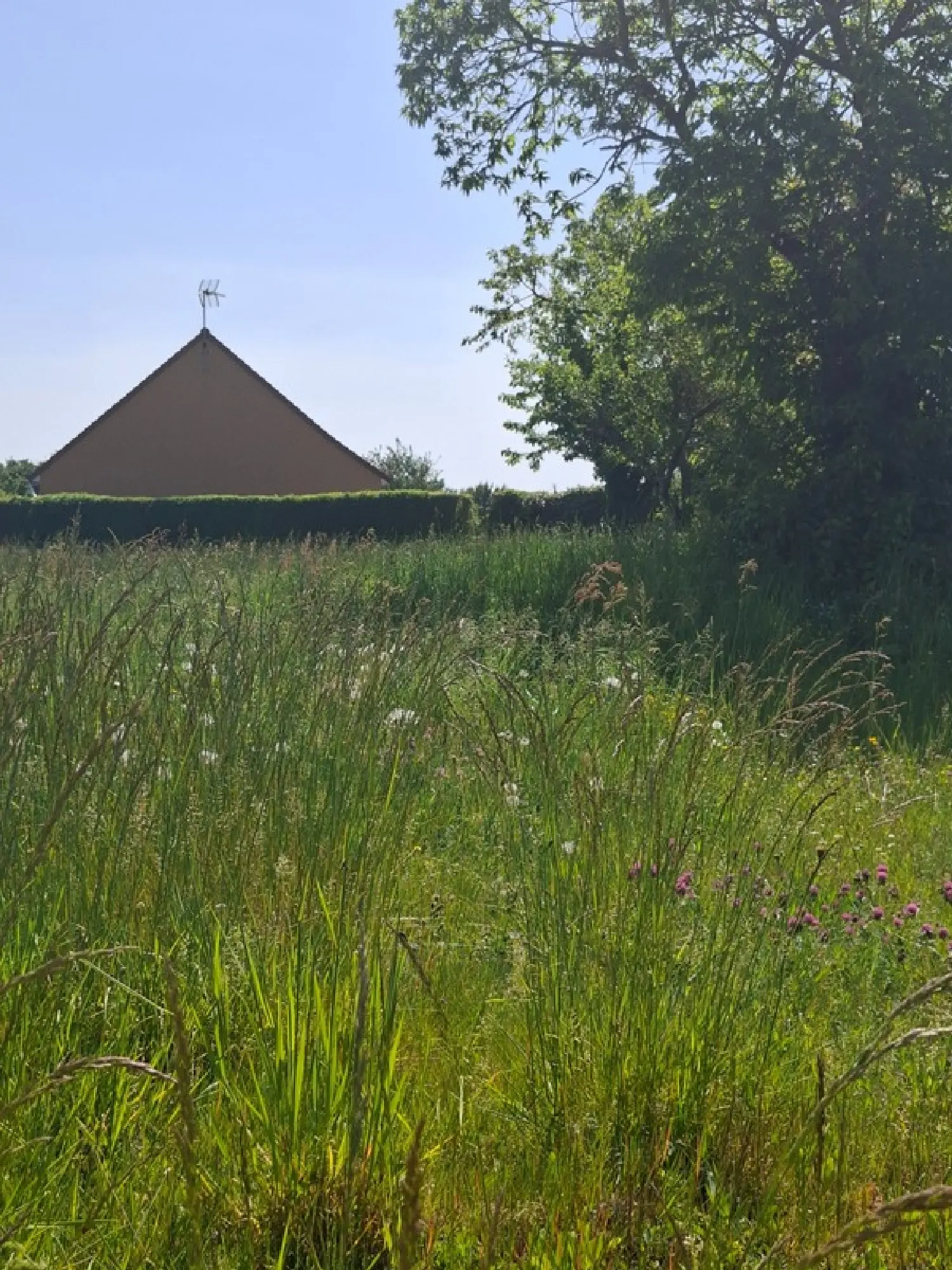  en venta terreno Fresnay-sur-Sarthe Sarthe 1