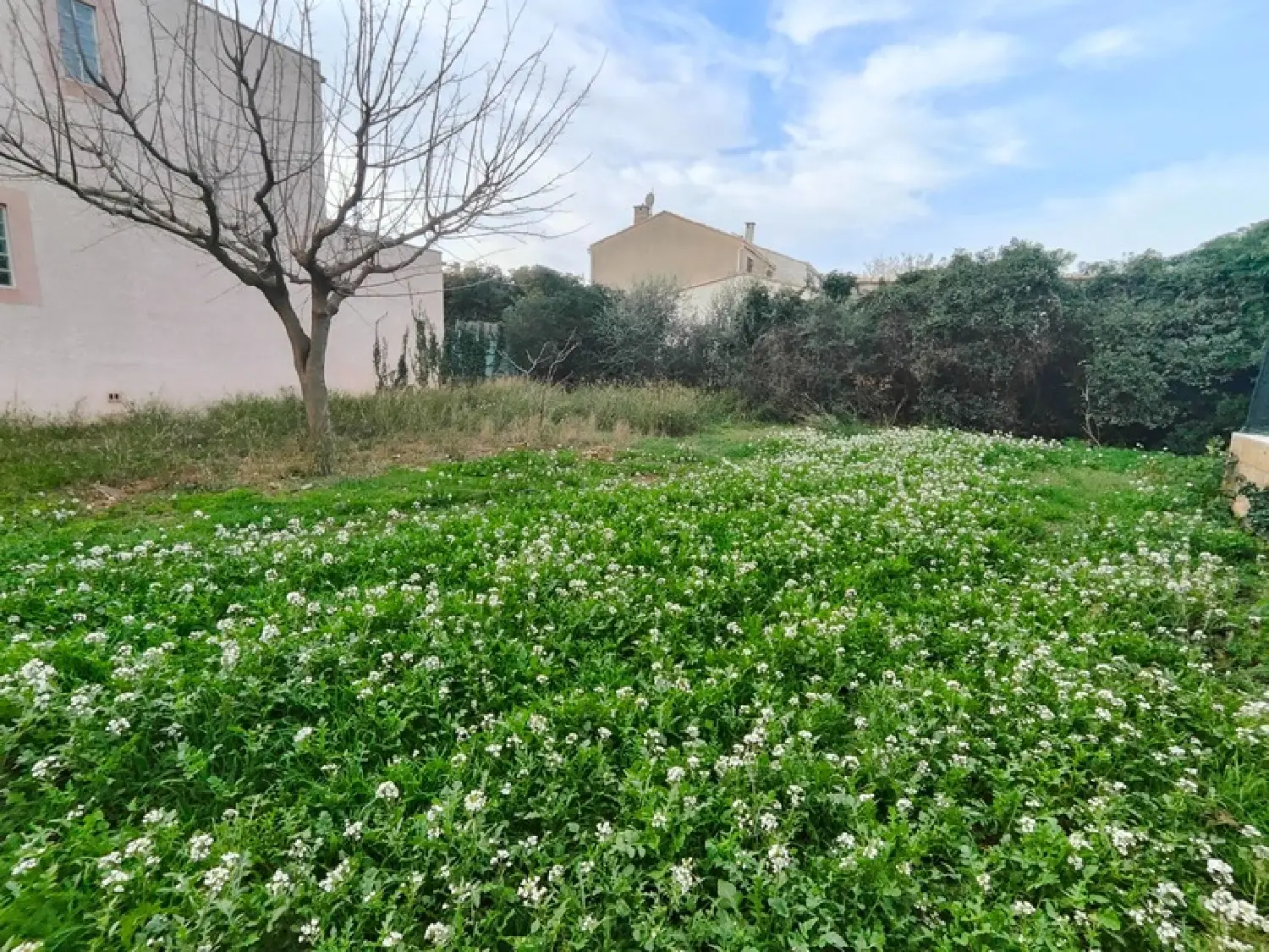  à vendre terrain Frontignan Hérault 1